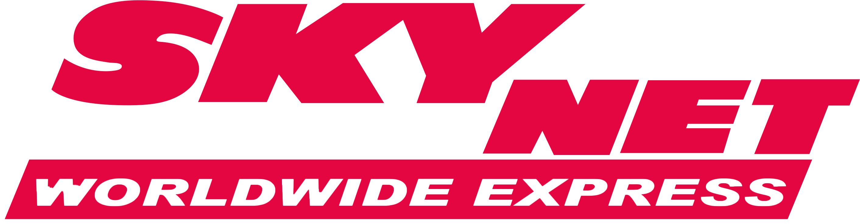 SkyNet Worldwide Express